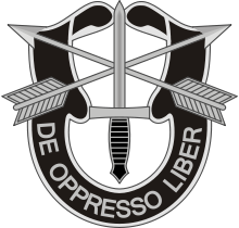 Joining the Military: US Special Forces Names and Duties